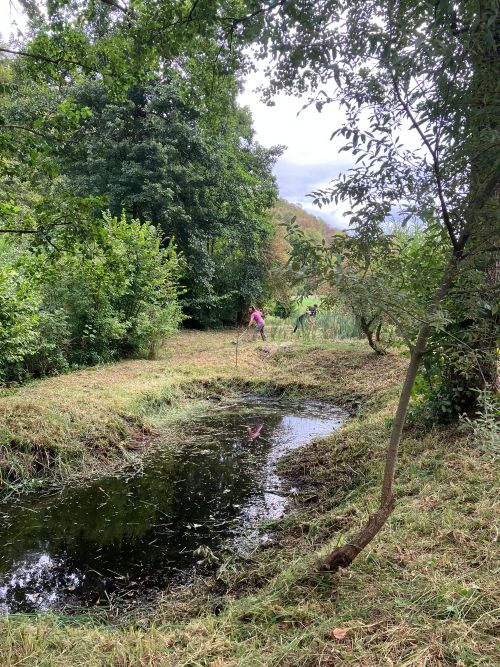 weiher